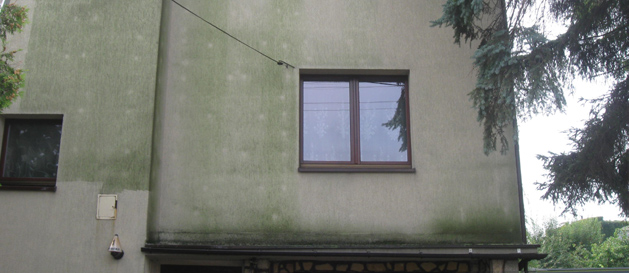 czyszczenie elewacji