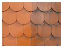 Przykład przed i po czyszczeniu dachówki mycie dachu